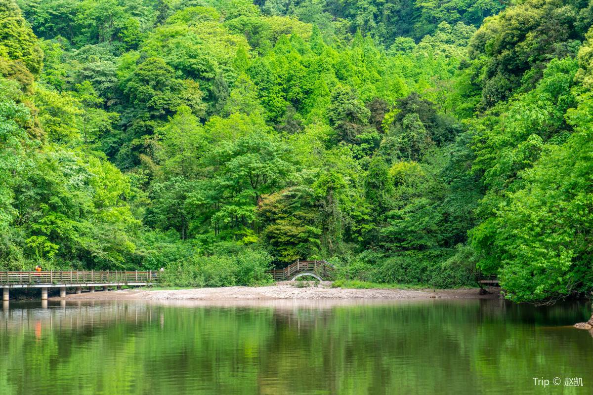 青城山の見どころ3選
