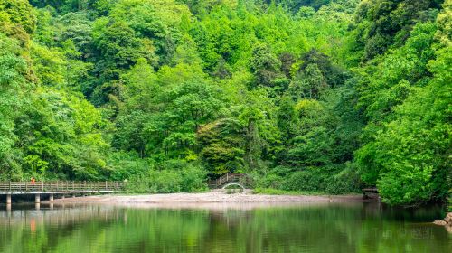 Qingcheng Mountain