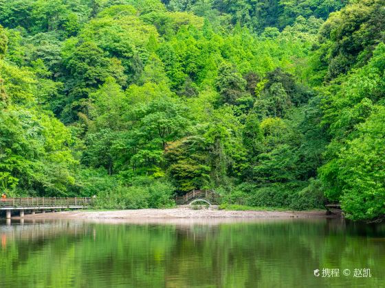 Qingcheng Mountain