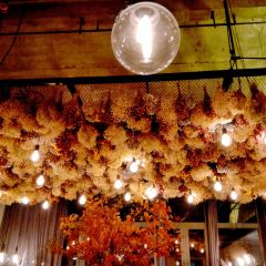 Peking Garden User Photo