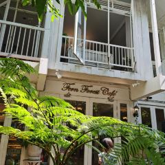 Fern Forest Café 여행 사진