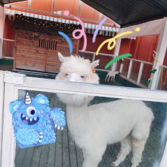 万禾都市农场 Brunch·Bistro(长宁来福士店) User Photo