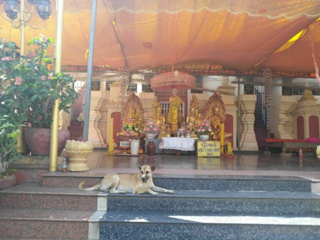 Wat Moha Montrei