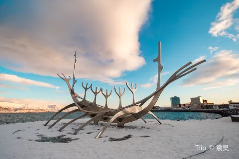 Sun Voyager