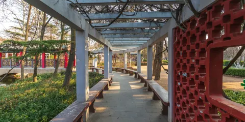 滄口公園