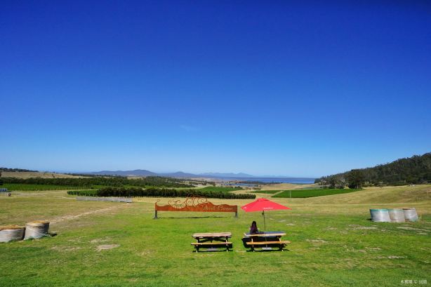 Devil's Corner Cellar Door