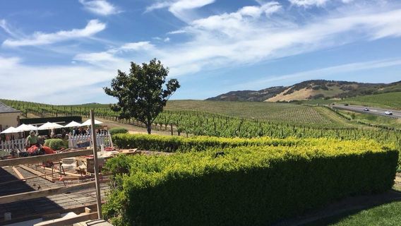 Robert Mondavi Winery