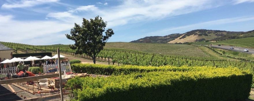 Robert Mondavi Winery