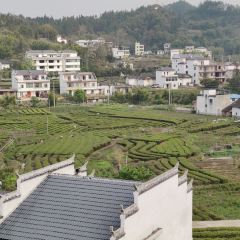 大金山土菜馆 User Photo