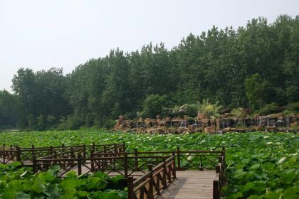 蜜雪冰城(文达店)