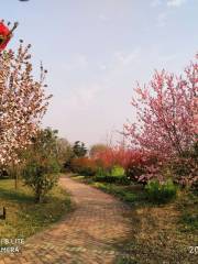 Tianze Bay International Hot Spring Resort