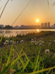 Парк водно-болотных угодий в озере Куан Цин