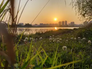 Guanyinhu Wetland Park