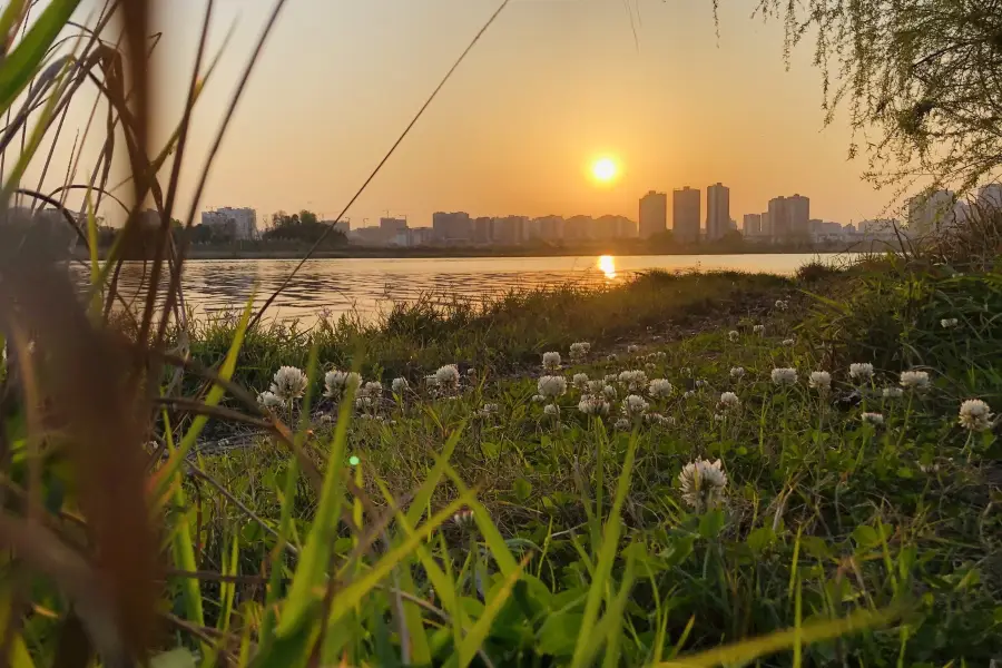 Guanyinhu Wetland Park