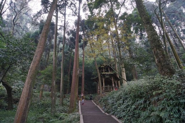 천연도화방