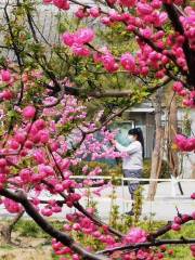 綠潤花卉植物園