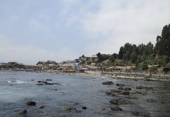 Caleta Horcón