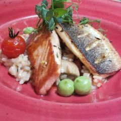 ef16 Restaurant User Photo