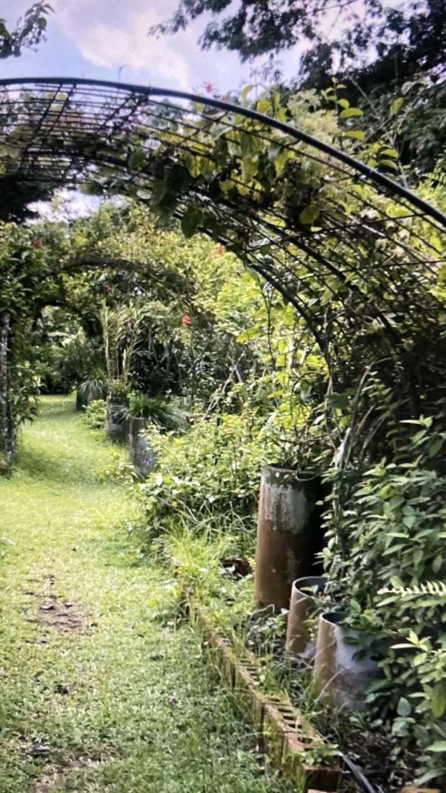 Kranji Farm
