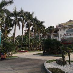 碧桂园凤凰酒店自助餐厅 User Photo