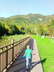 Sankuaishi National Forest Park Ticket Office