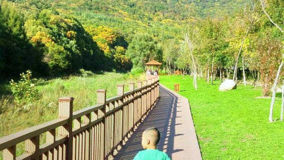 Sankuaishi National Forest Park Ticket Office