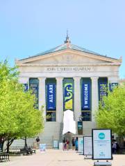 Shedd Aquarium