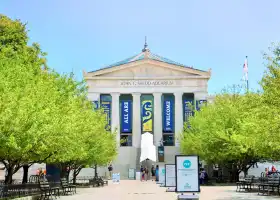 Shedd Aquarium