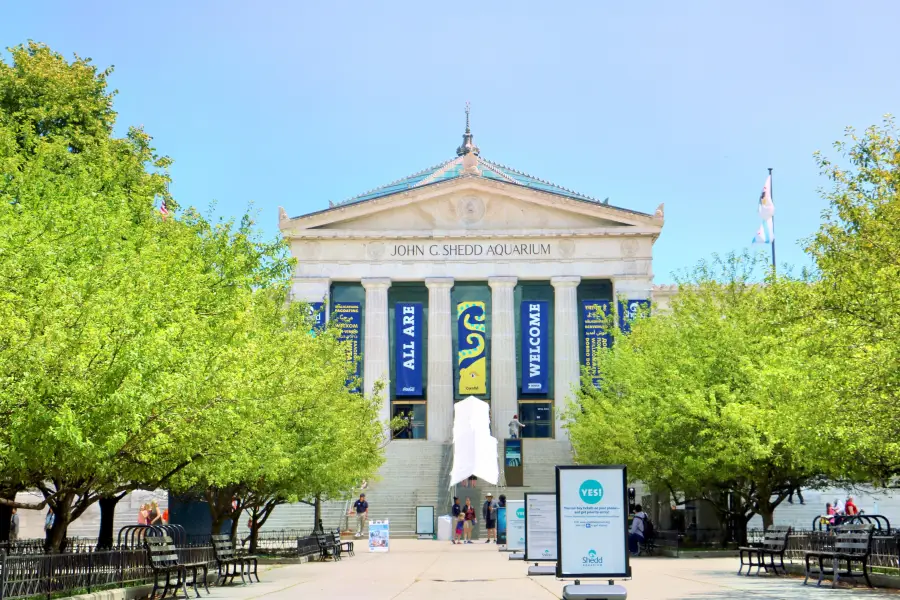 Shedd Aquarium