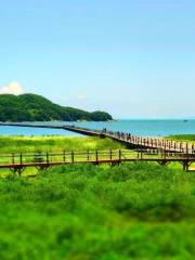 海陵島紅樹林國家濕地公園