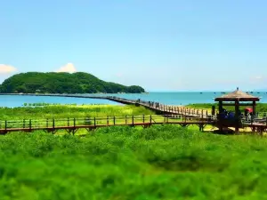 하이링다오(해릉도) 맹그로브 국가 습지 공원