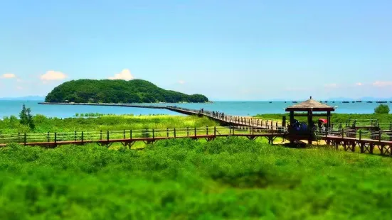 海陵島紅樹林國家濕地公園