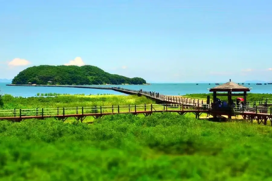 海陵島マングローブ国家湿地公園