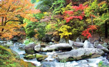 Shosen-kyo Valley