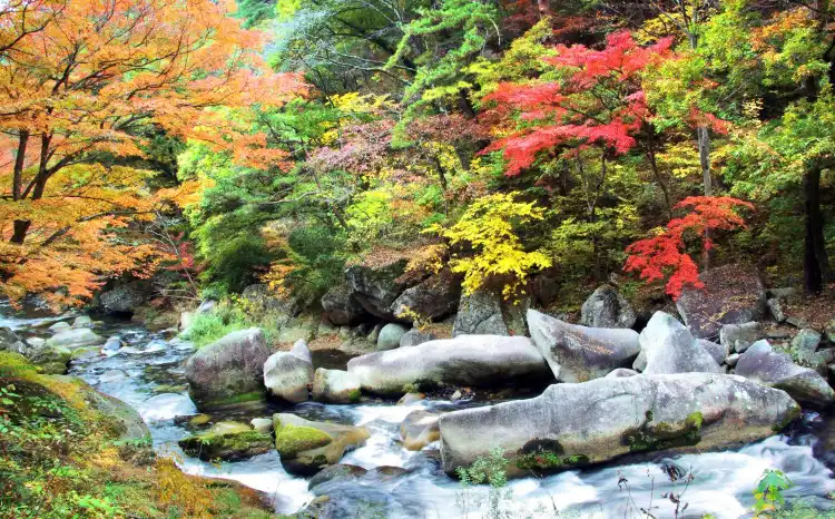 Hotels in der Nähe von Universität Yamanashi