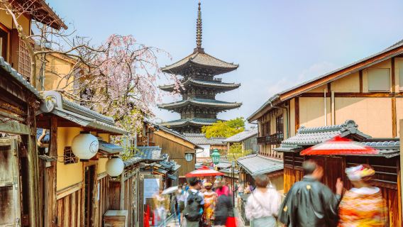 日本大阪周邊京都+奈良一日雙城遊 10H 中文 飯店接駁