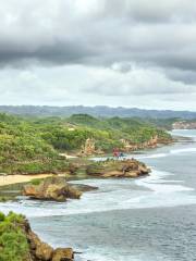 Kukup Island Johor National Park