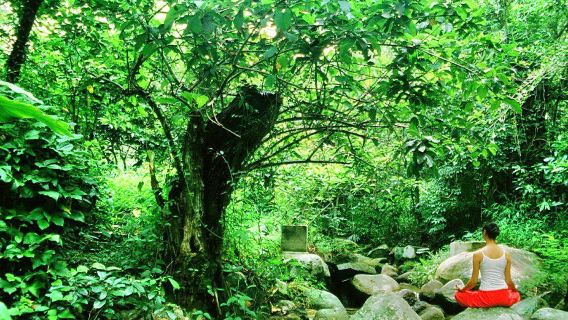 Qixianling Junlan Wild Stream Hot Spring