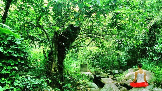 Narada Resort & Spa Qixian Mount