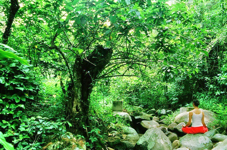 Qixianling Junlan Wild Stream Hot Spring