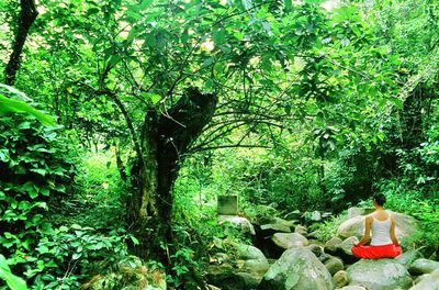 Qixianling Junlan Wild Stream Hot Spring