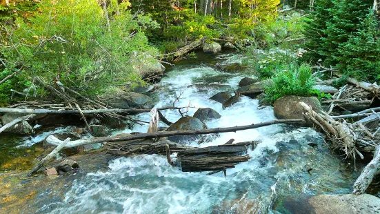 Bear Creek Lake Park