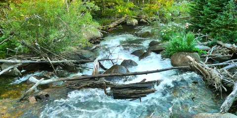 Bear Creek Lake Park