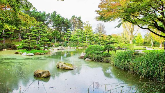 Japanese Garden