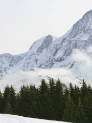 Prarion Gondola Lift (Télécabine du Prarion)