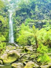 Great Otway National Park