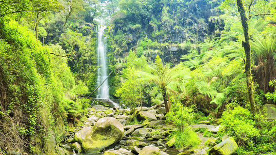 Национальный парк Грэйт Отуэй