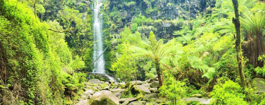 Great Otway National Park