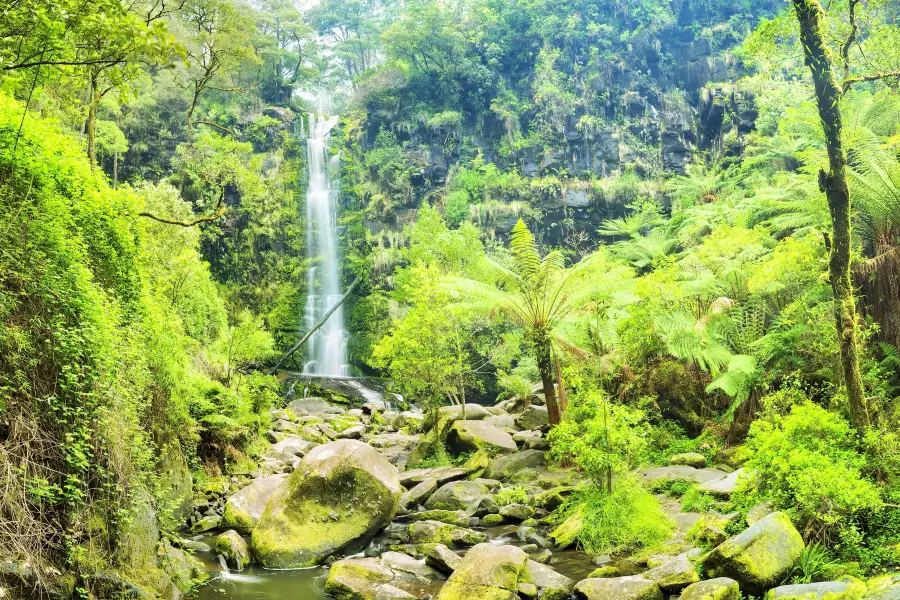 Great Otway National Park