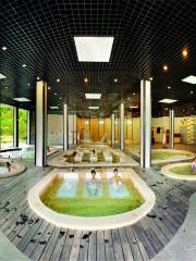 Tianyi Hot Spring Resort